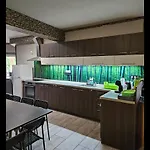 Kids' Paradise House Pensionat 3*