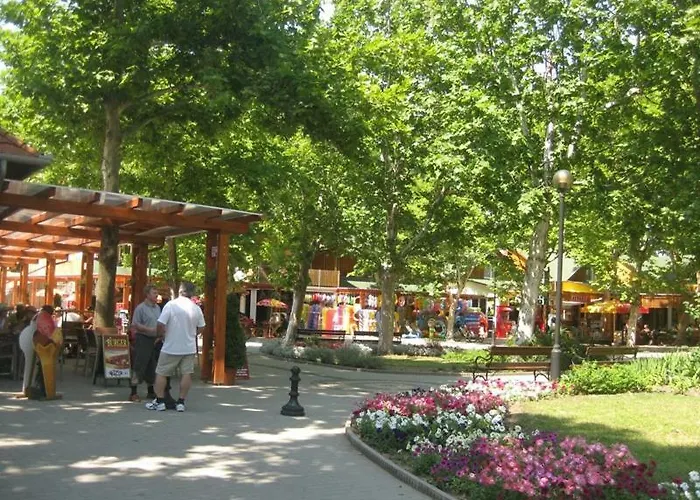 Kids' Paradise House בית הארחה